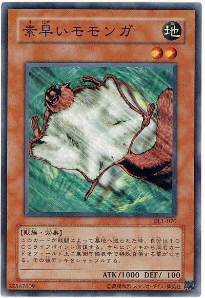 素早いモモンガ