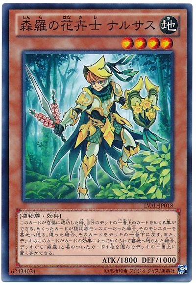 遊戯王 森羅の花卉士 ナルサス[LVAL][LVAL-JP018][ノーマル]