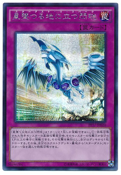 星墜つる地に立つ閃珖