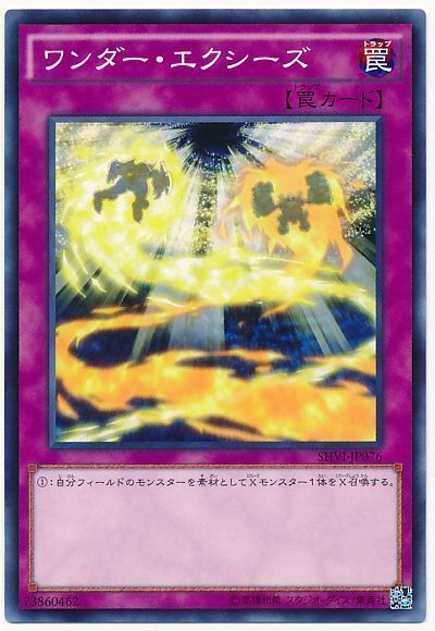 遊戯王 ワンダー・エクシーズ[SHVI][SHVI-JP076][ノーマル]