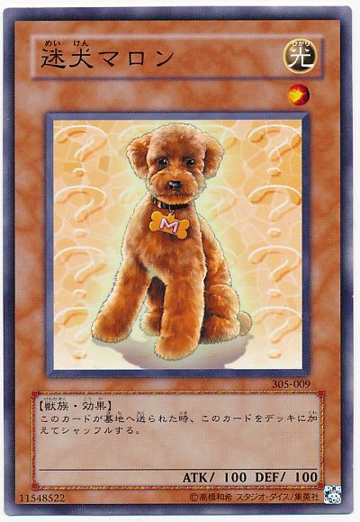 遊戯王 迷犬マロン[305][305-009][ノーマル]