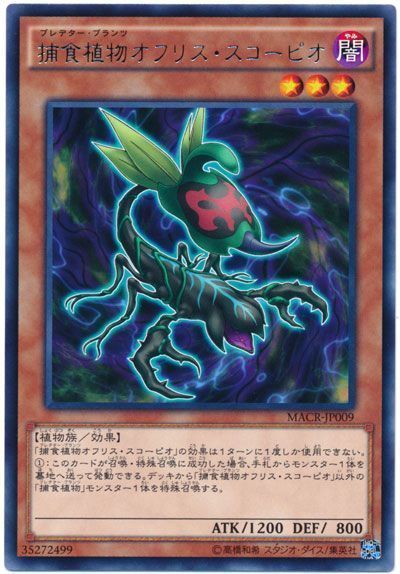 遊戯王 捕食植物オフリス・スコーピオ[MACR][MACR-JP009][レア]