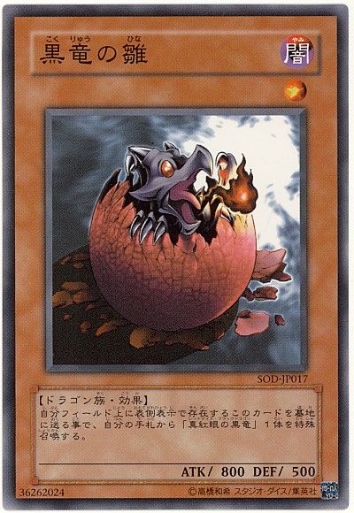 遊戯王 黒竜の雛[SOD][SOD-JP017][ノーマル]