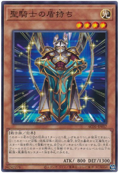 聖騎士の盾持ち