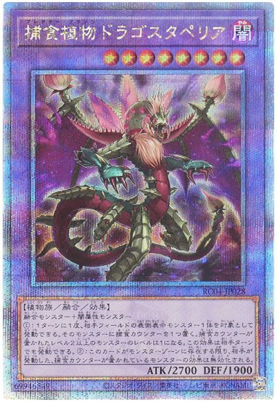 遊戯王 捕食植物ドラゴスタペリア[RC04][RC04-JP028][QCシク]