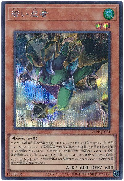 遊戯王 若い忍者[24PP][24PP-JP024][シク]