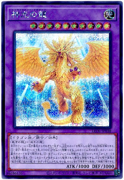 神光の龍