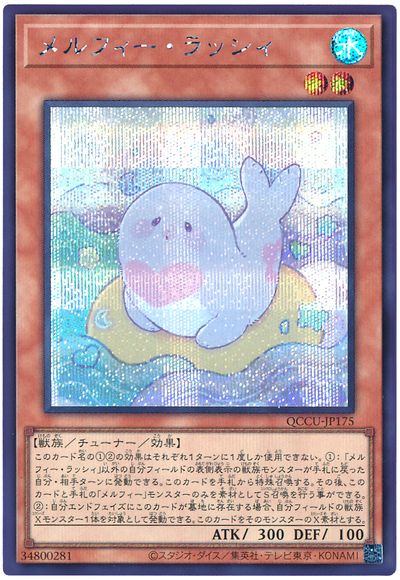 遊戯王 メルフィー・ラッシィ[QCCU][QCCU-JP175][シク]