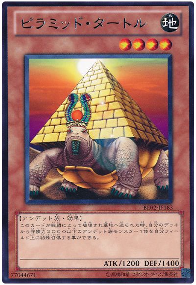 ピラミッド・タートル
