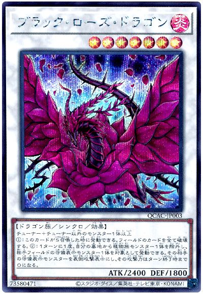 遊戯王 ブラック・ローズ・ドラゴン(通常イラスト)[QCAC][QCAC-JP003][シク]