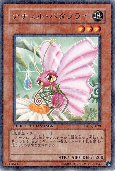 ナチュル・バタフライ