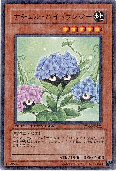 遊戯王 ナチュル・ハイドランジー[DT06][DT06-JP022][ノーマル]