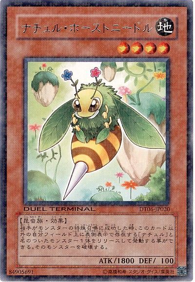 遊戯王 ナチュル・ホーストニードル[DT06][DT06-JP020][レア]