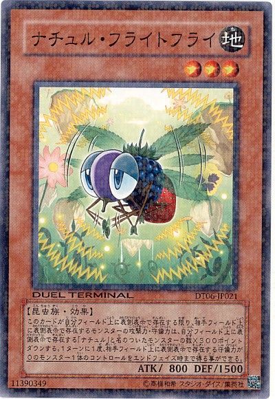 遊戯王 ナチュル・フライトフライ[DT06][DT06-JP021][ノーマル]