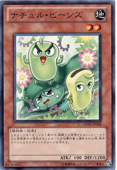 遊戯王 ナチュル・ビーンズ[DREV][DREV-JP028][ノーマル]