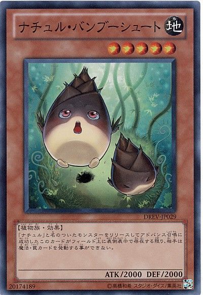 遊戯王 ナチュル・バンブーシュート[DREV][DREV-JP029][スーパー]