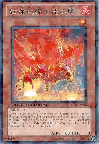 遊戯王 紅蓮地帯を飛ぶ鷹[DT09][DT09-JP023][レア]